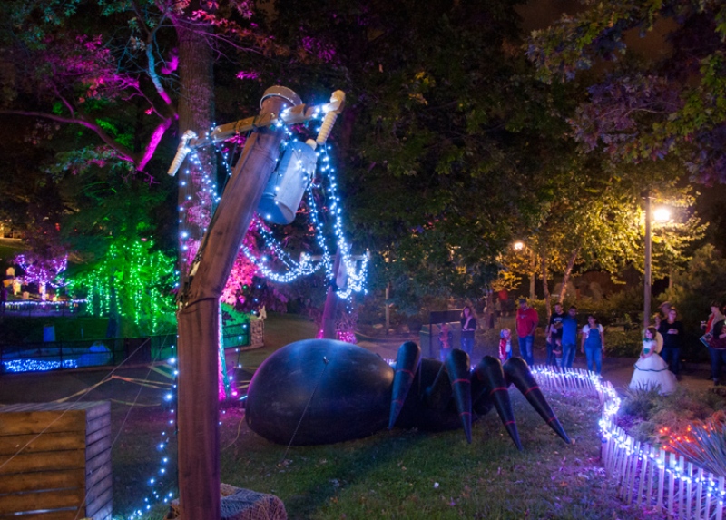 Boo at the Zoo Nights  2017 spider Micah Usher Saint Louis Zoo web