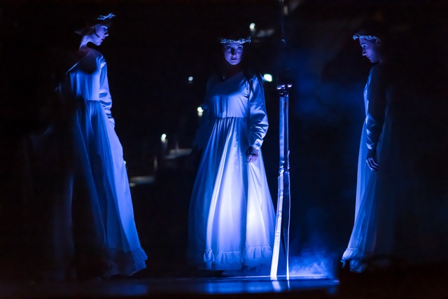 Duo-straps Costumes Dominique Lemieux 2018 Cirque du Soleil Photo 1
