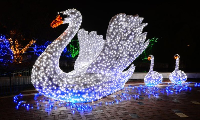 WildLights swan web Ryan-Archer-Saint-Louis-Zoo